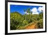 Lush vegetation along the Kalalau Trail on the Na Pali Coast, Island of Kauai, Hawaii, USA-Russ Bishop-Framed Premium Photographic Print