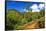 Lush vegetation along the Kalalau Trail on the Na Pali Coast, Island of Kauai, Hawaii, USA-Russ Bishop-Framed Stretched Canvas