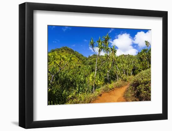 Lush vegetation along the Kalalau Trail on the Na Pali Coast, Island of Kauai, Hawaii, USA-Russ Bishop-Framed Photographic Print