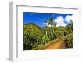 Lush vegetation along the Kalalau Trail on the Na Pali Coast, Island of Kauai, Hawaii, USA-Russ Bishop-Framed Photographic Print