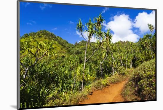 Lush vegetation along the Kalalau Trail on the Na Pali Coast, Island of Kauai, Hawaii, USA-Russ Bishop-Mounted Photographic Print