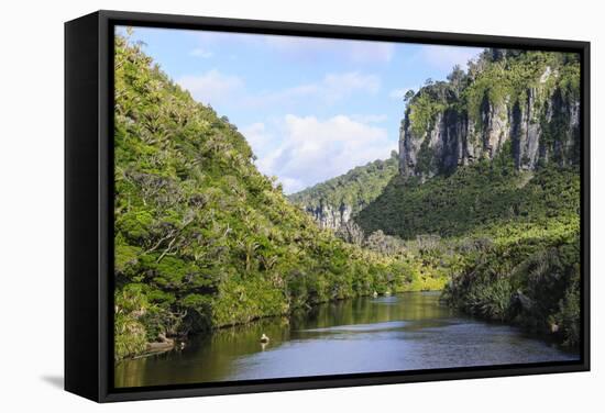 Lush Vegetation and Cliffs, Porari River, Paparoa National Park-Michael Runkel-Framed Stretched Canvas
