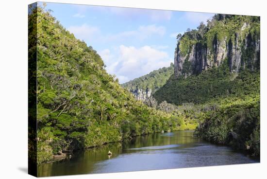 Lush Vegetation and Cliffs, Porari River, Paparoa National Park-Michael Runkel-Stretched Canvas