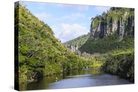 Lush Vegetation and Cliffs, Porari River, Paparoa National Park-Michael Runkel-Stretched Canvas