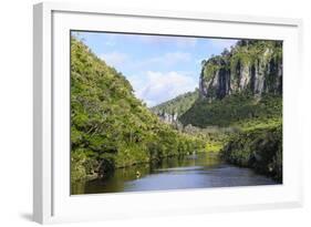 Lush Vegetation and Cliffs, Porari River, Paparoa National Park-Michael Runkel-Framed Photographic Print