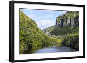 Lush Vegetation and Cliffs, Porari River, Paparoa National Park-Michael Runkel-Framed Photographic Print