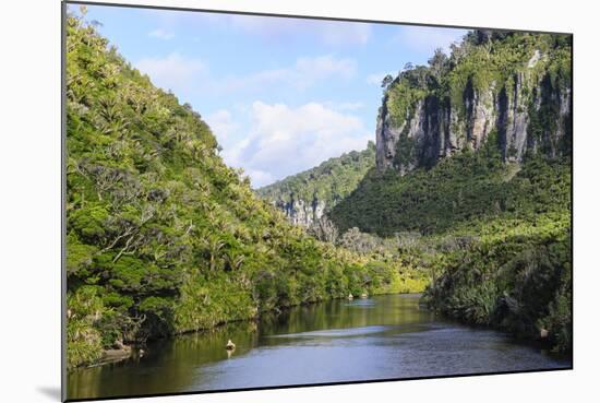 Lush Vegetation and Cliffs, Porari River, Paparoa National Park-Michael Runkel-Mounted Photographic Print