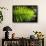 Lush Vegetation of Forest Floor at the Los Angeles Cloud Forest Reserve-null-Framed Photographic Print displayed on a wall