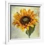 Lush Vintage Florals I-Honey Malek-Framed Art Print