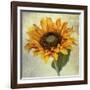 Lush Vintage Florals I-Honey Malek-Framed Art Print