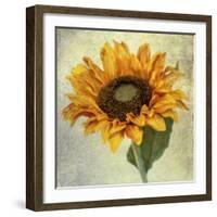 Lush Vintage Florals I-Honey Malek-Framed Art Print