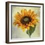 Lush Vintage Florals I-Honey Malek-Framed Art Print