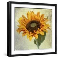 Lush Vintage Florals I-Honey Malek-Framed Art Print