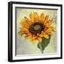 Lush Vintage Florals I-Honey Malek-Framed Art Print