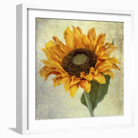 Lush Vintage Florals I-Honey Malek-Framed Art Print