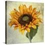 Lush Vintage Florals I-Honey Malek-Stretched Canvas