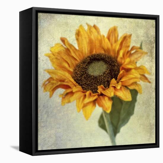 Lush Vintage Florals I-Honey Malek-Framed Stretched Canvas