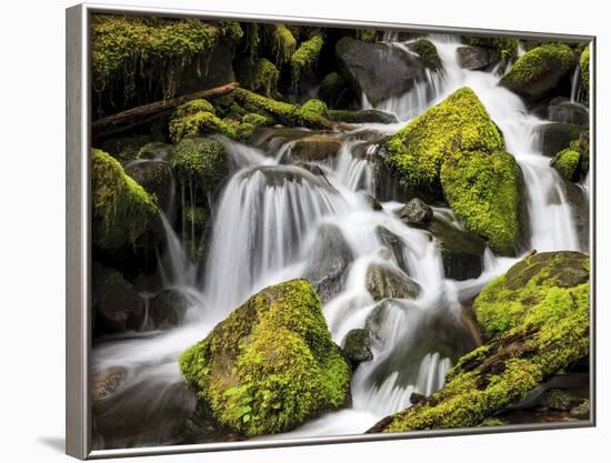 Lush Waterfall, Olympic National Park, Washington, USA-Tom Norring-Framed Photographic Print