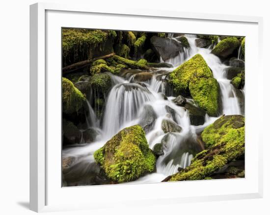 Lush Waterfall, Olympic National Park, Washington, USA-Tom Norring-Framed Photographic Print