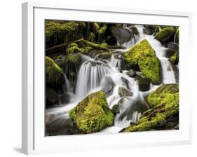 Lush Waterfall, Olympic National Park, Washington, USA-Tom Norring-Framed Photographic Print