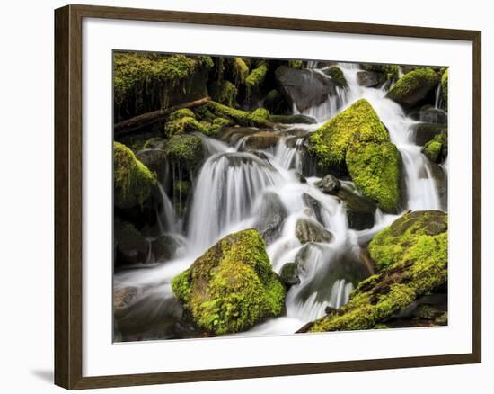 Lush Waterfall, Olympic National Park, Washington, USA-Tom Norring-Framed Photographic Print