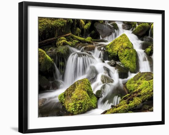 Lush Waterfall, Olympic National Park, Washington, USA-Tom Norring-Framed Photographic Print