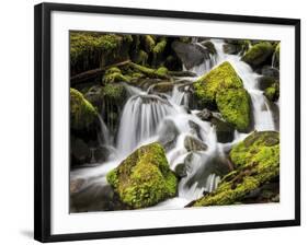 Lush Waterfall, Olympic National Park, Washington, USA-Tom Norring-Framed Photographic Print