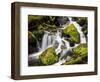 Lush Waterfall, Olympic National Park, Washington, USA-Tom Norring-Framed Photographic Print