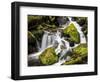 Lush Waterfall, Olympic National Park, Washington, USA-Tom Norring-Framed Photographic Print