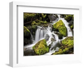 Lush Waterfall, Olympic National Park, Washington, USA-Tom Norring-Framed Photographic Print