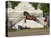 Lusitano Horse, Man Training Stallion In Dressage Steps, The High Leap-Carol Walker-Stretched Canvas