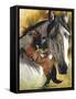 Lusitano-Barbara Keith-Framed Stretched Canvas