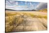 Luskentyre beach, Isle of Harris, Outer Hebrides, Scotland, United Kingdom, Europe-Karen Deakin-Stretched Canvas