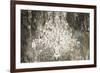 Luster Ebony Version-Aimee Wilson-Framed Art Print