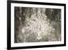 Luster Ebony Version-Aimee Wilson-Framed Art Print