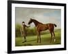 Lustre, Held by a Groom, c.1760-62-George Stubbs-Framed Giclee Print