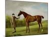 Lustre, Held by a Groom, c.1760-62-George Stubbs-Mounted Giclee Print