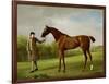 Lustre, Held by a Groom, c.1760-62-George Stubbs-Framed Giclee Print