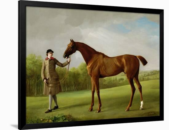 Lustre, Held by a Groom, c.1760-62-George Stubbs-Framed Giclee Print