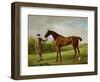 Lustre, Held by a Groom, c.1760-62-George Stubbs-Framed Premium Giclee Print