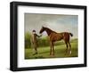 Lustre, Held by a Groom, c.1760-62-George Stubbs-Framed Premium Giclee Print