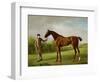 Lustre, Held by a Groom, c.1760-62-George Stubbs-Framed Premium Giclee Print