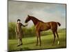 Lustre, Held by a Groom, c.1760-62-George Stubbs-Mounted Premium Giclee Print