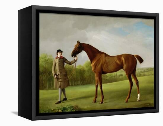 Lustre, Held by a Groom, c.1760-62-George Stubbs-Framed Stretched Canvas