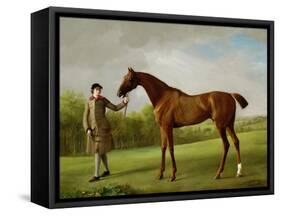 Lustre, Held by a Groom, c.1760-62-George Stubbs-Framed Stretched Canvas