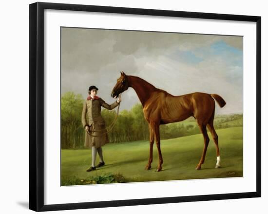 Lustre, Held by a Groom, c.1760-62-George Stubbs-Framed Giclee Print