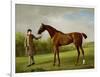 Lustre, Held by a Groom, c.1760-62-George Stubbs-Framed Premium Giclee Print