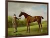 Lustre, Held by a Groom, c.1760-62-George Stubbs-Framed Premium Giclee Print