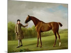 Lustre, Held by a Groom, c.1760-62-George Stubbs-Mounted Premium Giclee Print