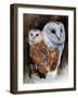 Lustrous-Barbara Keith-Framed Giclee Print